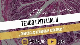 Epitelio glandular  CIAH [upl. by Aneerol]