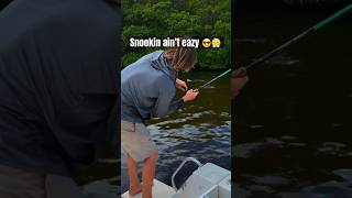 Snook Fishing the mangroves fishing fishingvideo [upl. by Henricks]