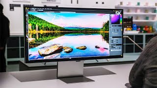 Best Dell Monitors  Top 10 in 2024 [upl. by Bennion203]