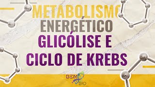 Metabolismo Energético  Glicólise e Ciclo de Krebs [upl. by Rockey]