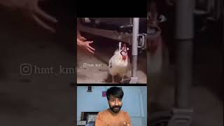 Aj murga fas gya funny memesreaction funnymemes reactionvideo comedy memes [upl. by Euqimod]