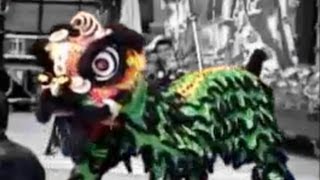 World Lion Dance Championship Qualifying 3 [upl. by Rramed]