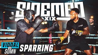 VIDDAL RILEY VS THE SIDEMEN FULL SPARRING [upl. by Elyk815]