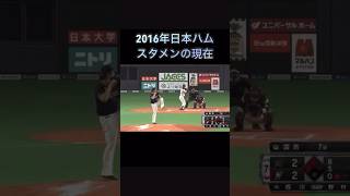 2016年日本ハムスタメンの現在プロ野球 日本ハム 現在 [upl. by Emor954]