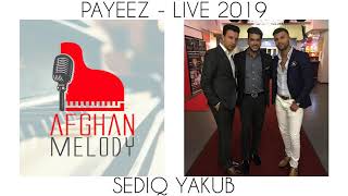 Sediq Yakub  Payeez LIVE 2019 [upl. by Nahsor]