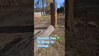 Chestnut 🌰 Tree 🌳 to Stump To Carving [upl. by Nwahsd]