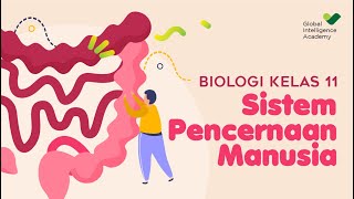 BIOLOGI SMA Kelas 11  Sistem Pencernaan Manusia  GIA Academy [upl. by Fey376]