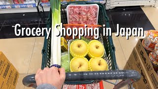 Shopping Trips Compilation🎵supermarket Daiso drug store goodies shop in Japan [upl. by Led]