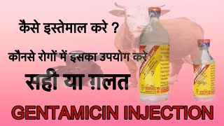 GENTAMICIN INJECTIONS  उपयोग कैसे करे और कब नहीं करे इल्लाज़ तथा जानकारी [upl. by Jade]