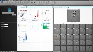 Improve accuracy in your flow cytometry data analysis with the Attune™ CytPix Flow Cytometer [upl. by Ynitsed]