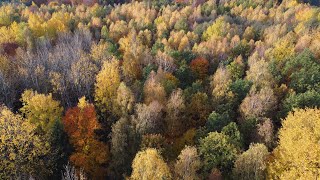 Bajkowa jesień na Warmii [upl. by Farro]