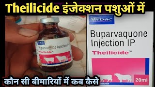 Theilicide injection 💉VirbacBuparvaquone Use in Animals पशुओं को कब कैसे कौन सी बीमारी में [upl. by Asiar896]