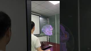 3D hologram fan man machine interation [upl. by Ynabla]