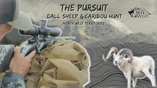 FULL FILM quotTHE PURSUITquot  GIANT DALL amp 2 CARIBOU BULLS [upl. by Nnairam]