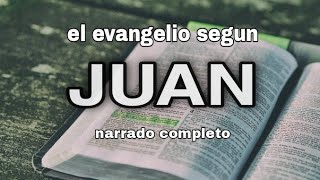 el evangelio según JUAN  AUDIOLIBRO [upl. by Assillem]