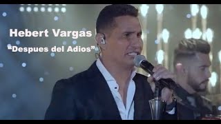 DESPUES DEL ADIOS con letra HEBERT VARGAS [upl. by Nomar]