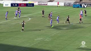 NPL NSW Mens Round 3 – Sydney Olympic v APIA Leichhardt FC [upl. by Lengel]