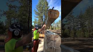 Epic montage of log cabin being built  Meadowlark DIY Log Cabin Series [upl. by Hgieliak73]