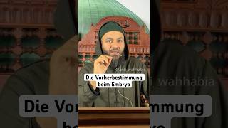 Die Vorherbestimmung beim Embryo  walidelzein islam embryo schwangerschaft [upl. by Eenehs922]