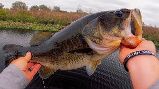 Pond Fishing With Aaron Lewis Chatterbait For The Win [upl. by Reyem]