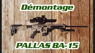 TUTO démontage PALLAS BA15 en 22lr [upl. by Margarethe545]