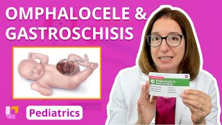 Omphalocele amp Gastroschisis  Pediatric Nursing  LevelUpRN [upl. by Jessie]