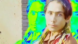 pashto viral song najeeb Armani wazer viraltrending [upl. by Beryle]