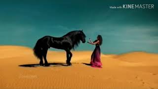 احدى اروع اغاني المطرب الاسباني Gipsy Kings  الرياح الرملية [upl. by Dorion984]