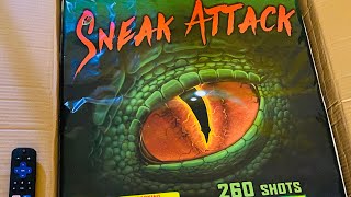 Sneak Attack🎇🎆260Shots Firework pr despedidadeaño viralvideo fuegosartificiales [upl. by Enelez]