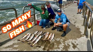 Jetty Fishing is HEATING up Packery Channel Corpus Christi Tx [upl. by Vitkun762]