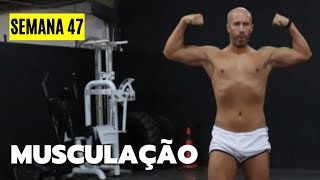 SEMANA 47  DISSERAM que SERIA FÁCIL  Musculação [upl. by Lynnell]