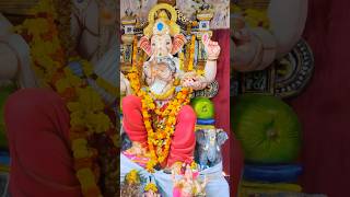 SHREE GANESHA  vinodvlogs215 devashreeganeshasong trending ganeshfestival ytshorts god yt [upl. by Giaimo959]