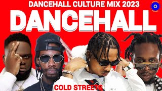 Dancehall Mix 2023 Dancehall Culture Mix 450 COLD STREETS Chronic Law Alkaline Popcaan [upl. by Nomyt359]