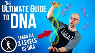 How to do the DNA Yoyo Trick 🧬 All 3 Levels of DNA Beginner to Pro [upl. by Hindorff]