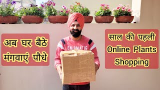 Online plants shopping india अब घर बैठे मांगवाए पौधे Adenium arabicum online [upl. by Lorita]