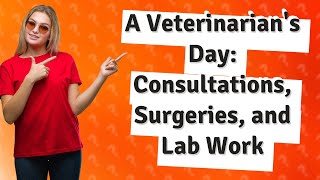 What Does a Typical Day for a Veterinarian Look Like [upl. by Rostand]