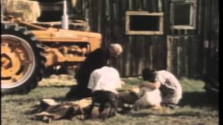 The Displaced Person Trailer 1976 [upl. by Ardnama648]