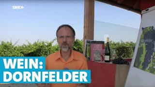 Werner erklärt Wein Dornfelder [upl. by Klute]