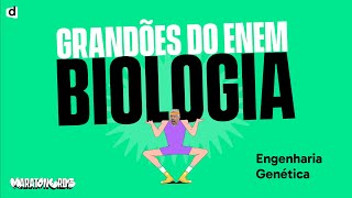 Genética  Engenharia Genética  Biologia [upl. by Yasui]