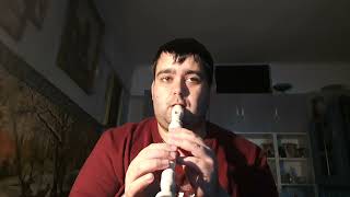 Sárközi Róbert  Szeretem Nox recorder cover [upl. by Chloette]