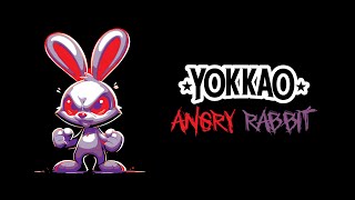 YOKKAO Angry Rabbit Drop Where Muay Thai Tradition Meets Bold New Style 🥊⚡️ [upl. by Eidissac40]