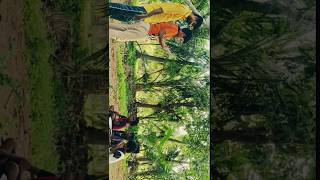 Thirukkural  Village school life  RGS FILM  villageschoollife thirukkuralintamil [upl. by Frendel]