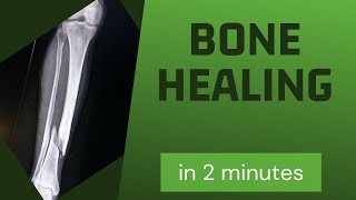 Bone healing in 2 mins [upl. by Aninaj36]