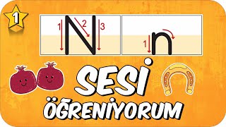 N Sesi Öğretimi 🌿 Okunuşu ve Yazılışı ✍🏻 1Sınıf 2025 [upl. by Heidi]