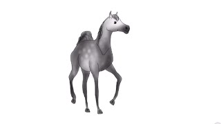 Drawing a Grey Dapple Arabian horse [upl. by Ytsirc]