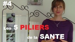 4  Naturopathie Créative  Cest quoi les 5 piliers de la Santé [upl. by Salomone552]