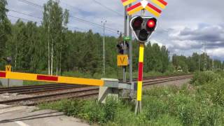 79 Million Views  Level Crossing  Kvarnvägen Korsträsk  Norrbotten Sweden [upl. by Alihs]