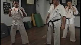 Shidokan Videos 01 [upl. by Clute255]