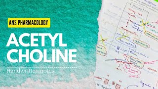 ANS Pharmacology 2  Acetyl Choline Synthesis amp Botulinum Toxin  Handwritten notesUniversity proff [upl. by Gawlas]