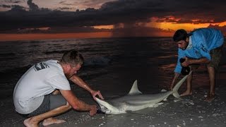 Land Based Shark Fishing [upl. by Abner]